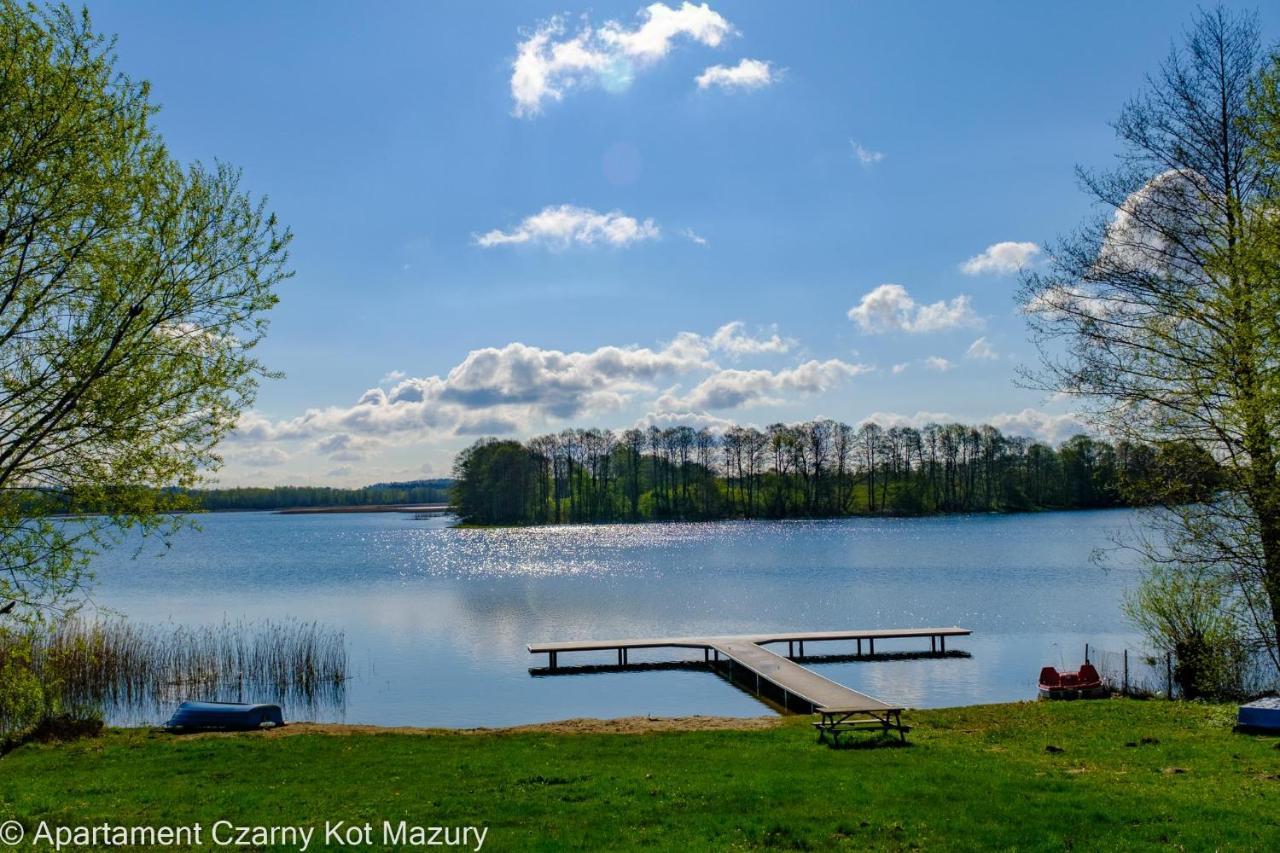 Villa Czarny Kot Mazury Dom Caloroczny à Malkinie Extérieur photo