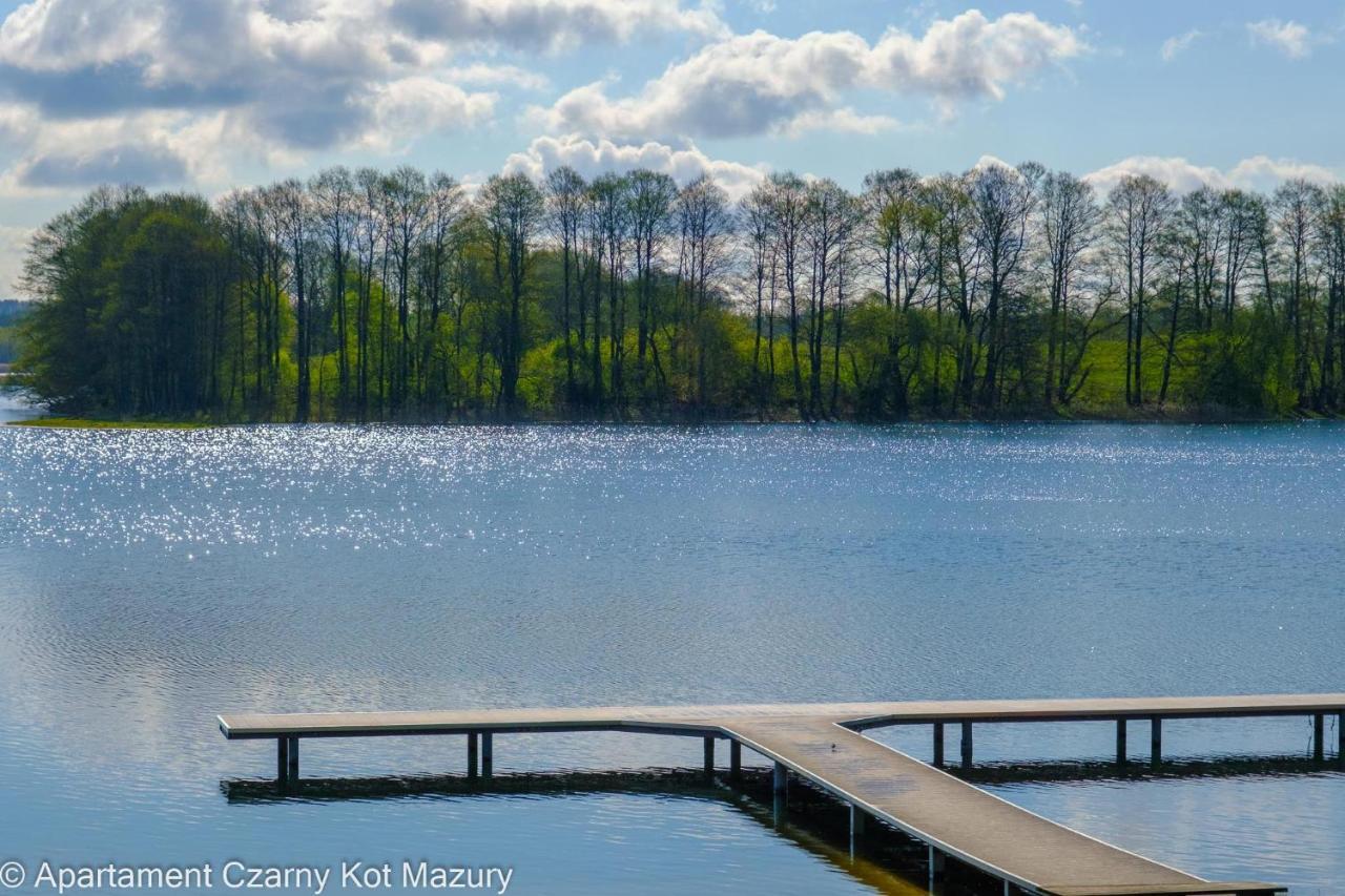 Villa Czarny Kot Mazury Dom Caloroczny à Malkinie Extérieur photo