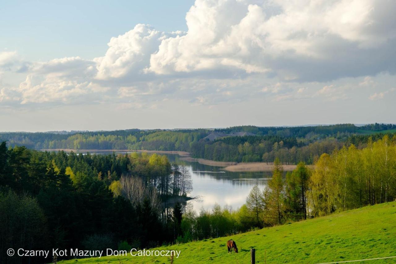 Villa Czarny Kot Mazury Dom Caloroczny à Malkinie Extérieur photo